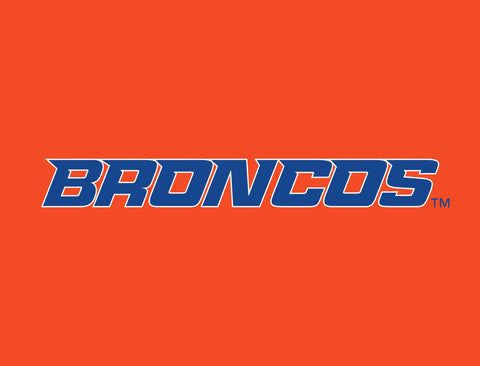 Boise State Broncos Wordmark Orange Yardsy Sign