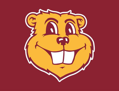 Minnesota Goldy Maroon Yardsy Sign