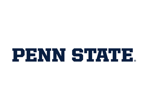 Penn State Wordmark White Yardsy Sign