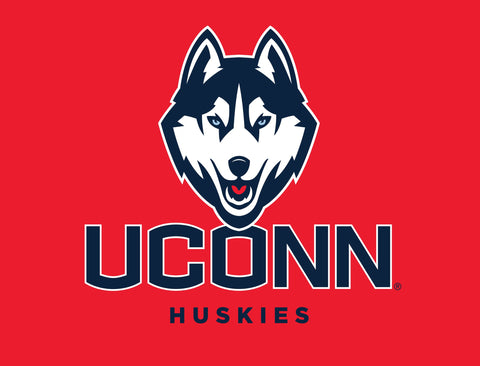 Huskies UConn Color Block Yardsy Sign