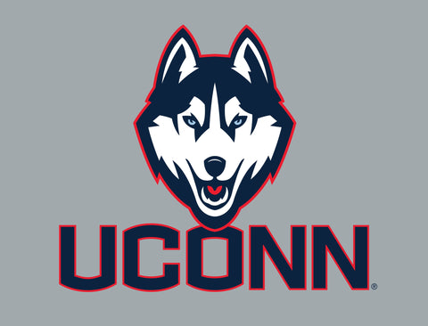 UConn Huskies Color Block Yardsy Sign