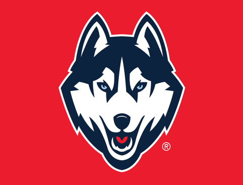 Huskies Color Block UConn Yardsy Sign