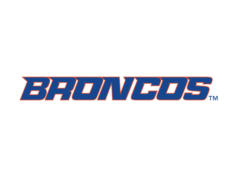Boise State Broncos Wordmark White Yardsy Sign