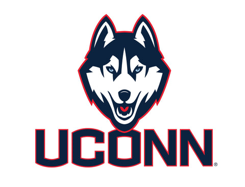 UConn Huskies Color Block Yardsy Sign
