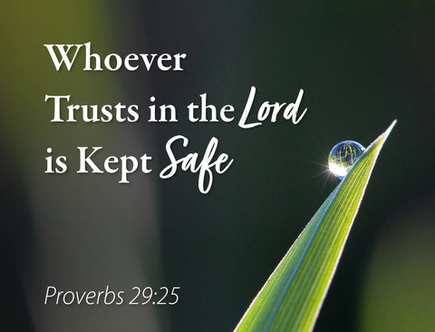 Trust In The Lord Yardsy Sign