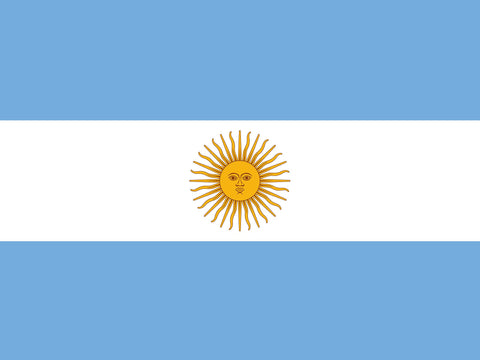 Flag Argentina Yardsy Sign