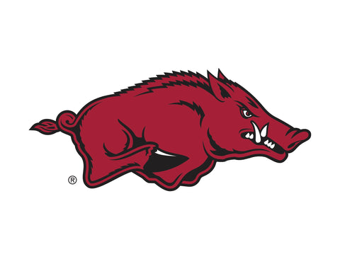 Arkansas Razorbacks White Yardsy Sign