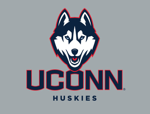 Huskies UConn Color Block Yardsy Sign