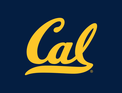 Berkeley Cal Blue Yardsy Sign