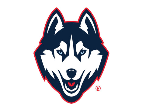 Huskies Color Block UConn Yardsy Sign