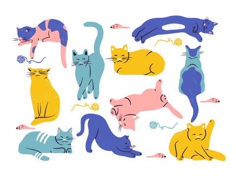 Purrfect Cats Yardsy Sign