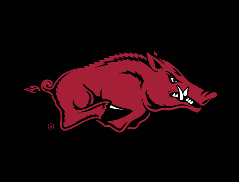 Arkansas Razorbacks Mascot Black Yardsy Sign