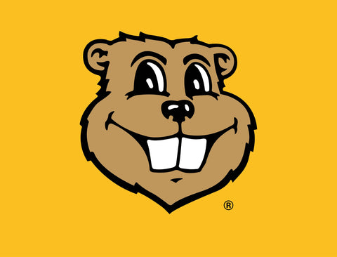 Minnesota Goldy Gold Yardsy Sign