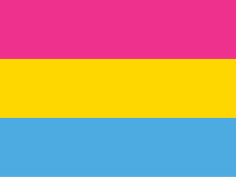 Pansexual Pride Flag Yardsy Sign