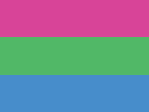 Polysexual Pride Flag Yardsy Sign