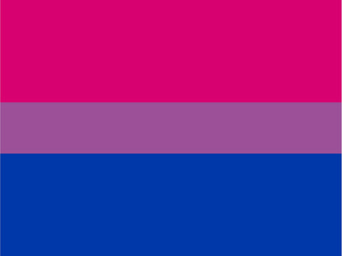 Bisexual Pride Flag Yardsy Sign