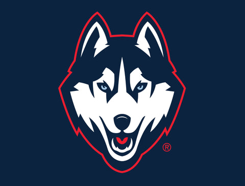 Huskies Color Block UConn Yardsy Sign