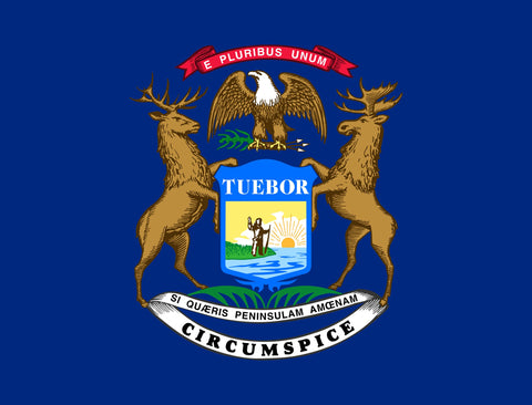 Michigan State Flag Yardsy Sign