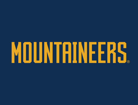 West Virginia Mountaineers Wordmark Blue Yardsy Sign