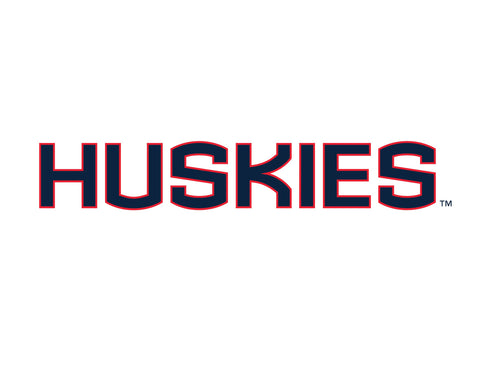 Huskies Color Block UConn Yardsy Sign