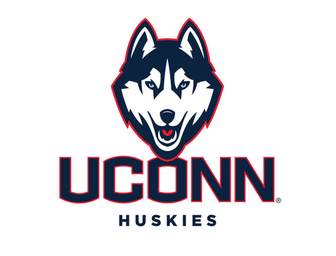 Huskies UConn Color Block Yardsy Sign