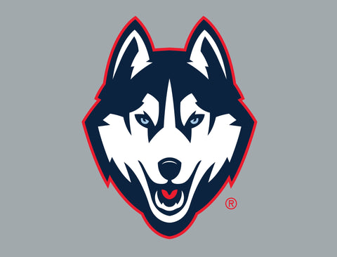Huskies Color Block UConn Yardsy Sign
