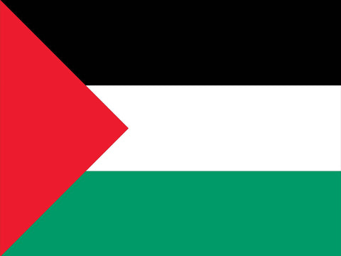 Flag Palestine Yardsy Sign