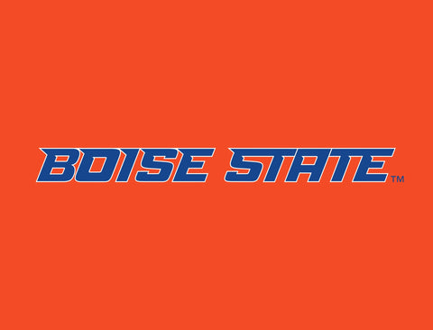 Boise State Wordmark Orange Yardsy Sign