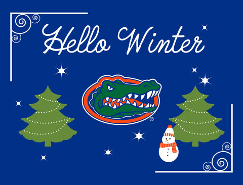 Florida Hello Winter Yardsy Sign