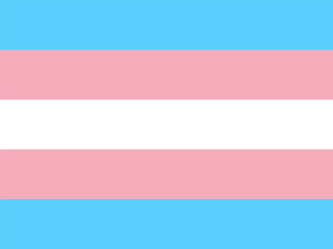 Transgender Pride Flag Yardsy Sign