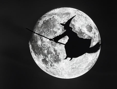 Witchy Moon Halloween Yardsy Sign
