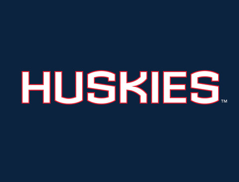 Huskies Color Block UConn Yardsy Sign