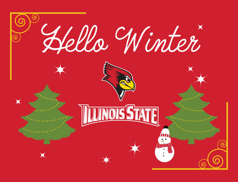 Illinois State Hello Winter Yardsy Sign yard sign