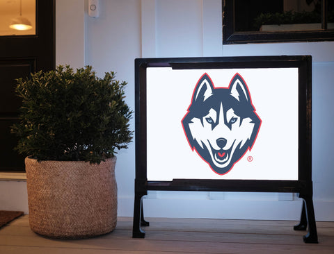 Huskies Color Block UConn Yardsy Sign