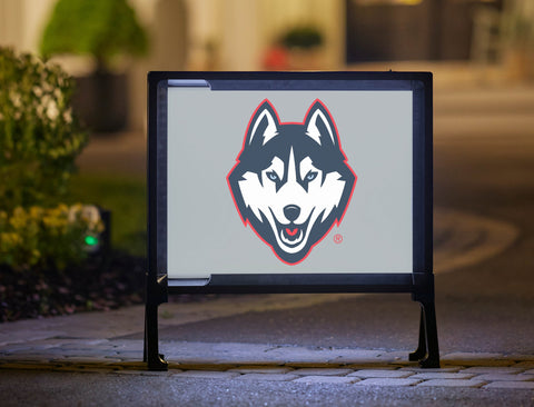 Huskies Color Block UConn Yardsy Sign