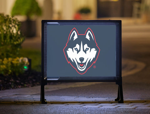 Huskies Color Block UConn Yardsy Sign