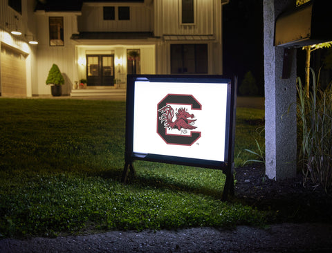 South Carolina C Cocky White Yardsy Sign
