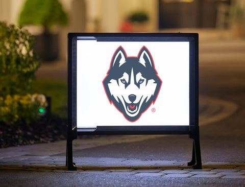 Huskies Color Block UConn Yardsy Sign