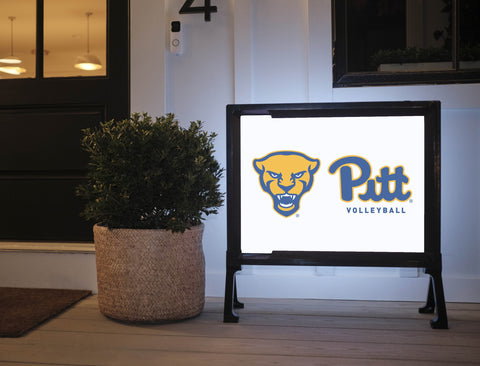 Pittsburgh Panther Pitt Volleyball White Yardsy Sign