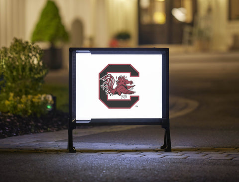South Carolina C Cocky White Yardsy Sign