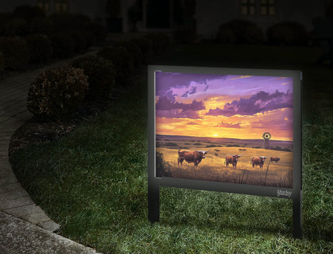 Longhorns At Sunset Landscape Yard Sign Walkway