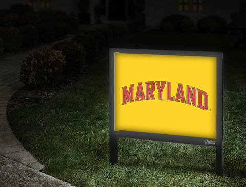 Maryland Wordmark Yellow Walkway