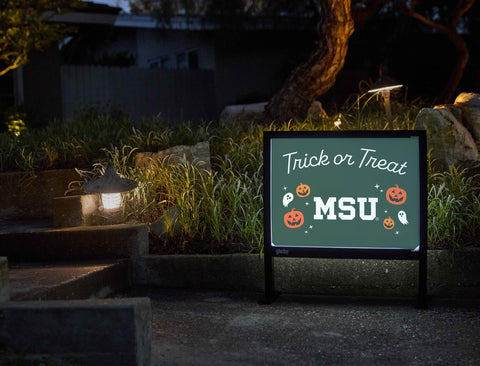 Michigan State Hanukkah Bundle (Inserts Only) — Yardsy Bundle