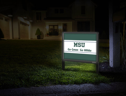 Michigan State Msu Go Green Go White Green Yardsy Sign Mailbox