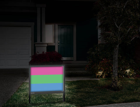 Polysexual Pride Flag Front Door