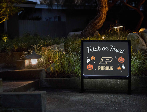 Purdue Holiday Bundle (Inserts Only) — Yardsy Bundle