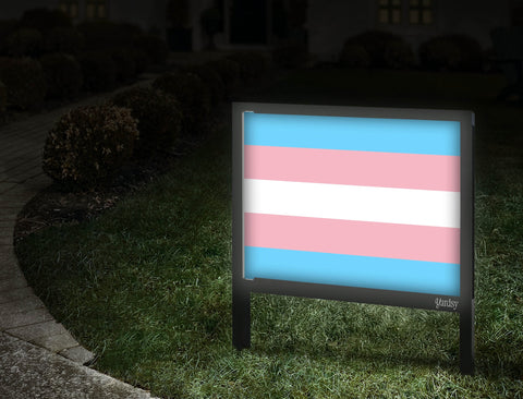 Transgender Pride Flag Walkway