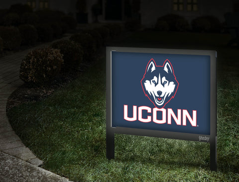 Uconnhuskie Mark Blue Walkway.Jpg