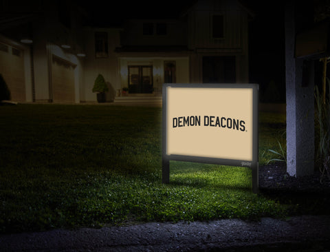 Wake Forest Demon Deacons Wordmark Gold Mailbox