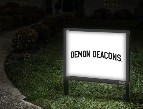 Wake Forest Demon Deacons Wordmark White Walkway